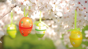 4-day Happy Easter Package_0